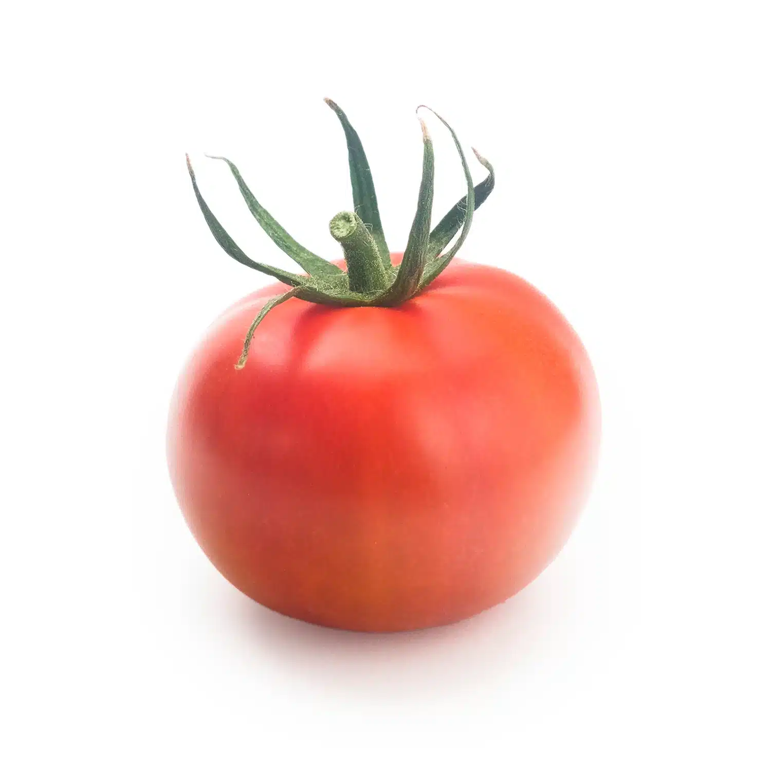 Tomate Sulayr - Imagen 5