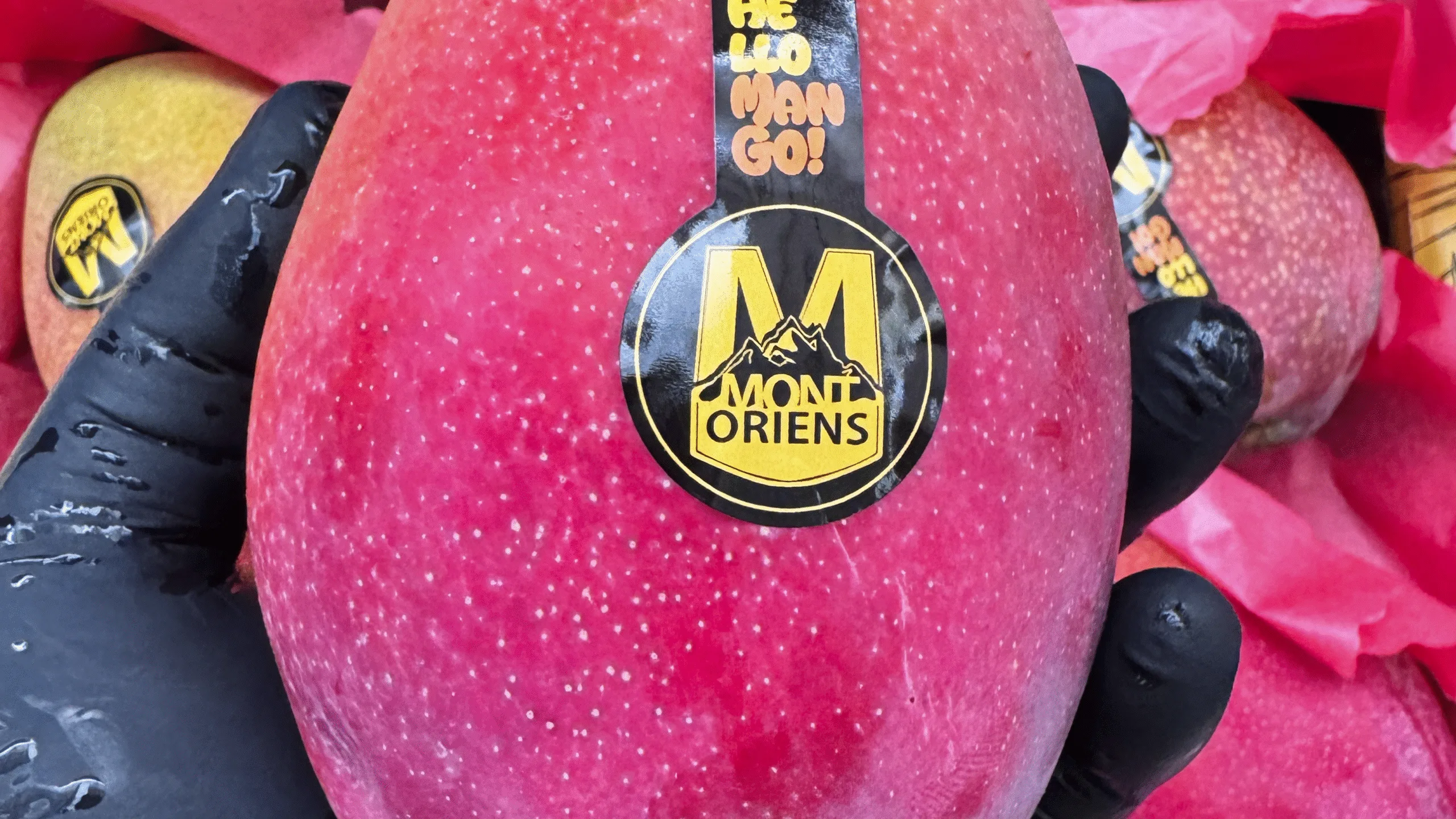 mango_irwin_montoriens un mango de la clase IRWIN, de la marca MONTORIENS, comercializado por Fruticatessen, de la Costa Tropical de Motril, en Granada